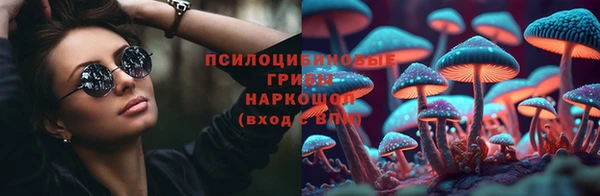тгк Сосновый Бор