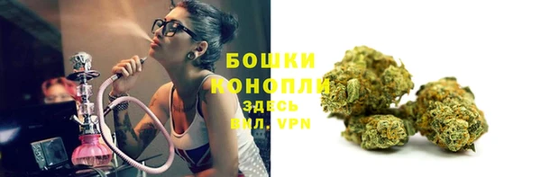 тгк Сосновый Бор