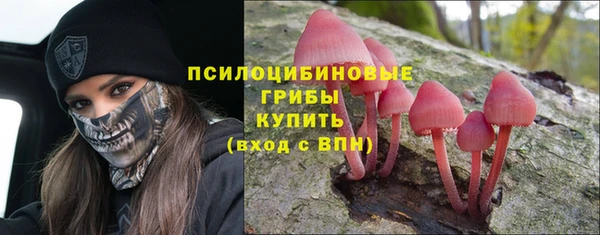тгк Сосновый Бор