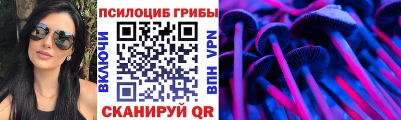 Галлюциногенные грибы Magic Shrooms  Купить закладки  Жигулёвск 